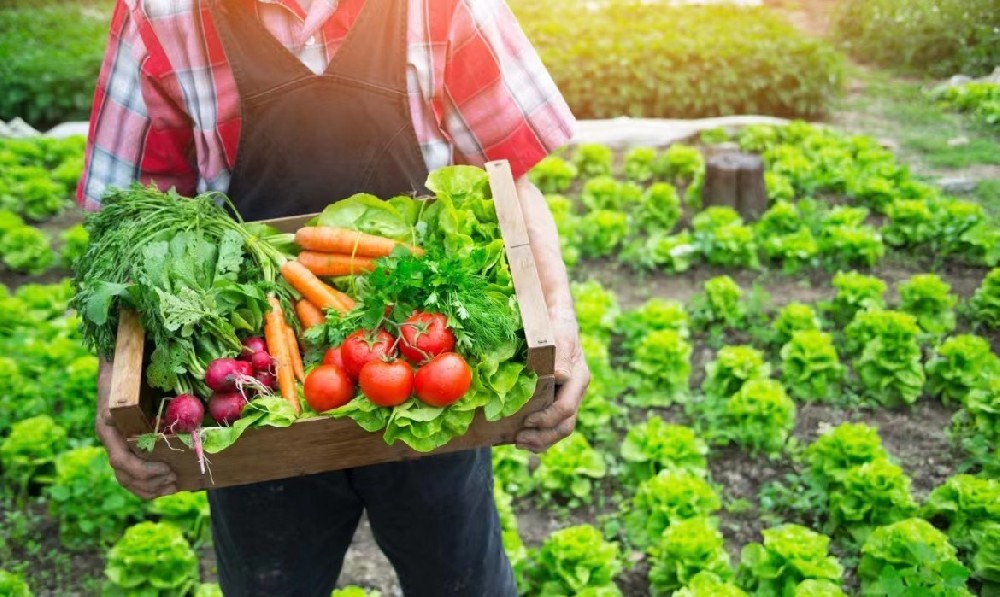 食物安全与健康生活：有机农业是抉择！