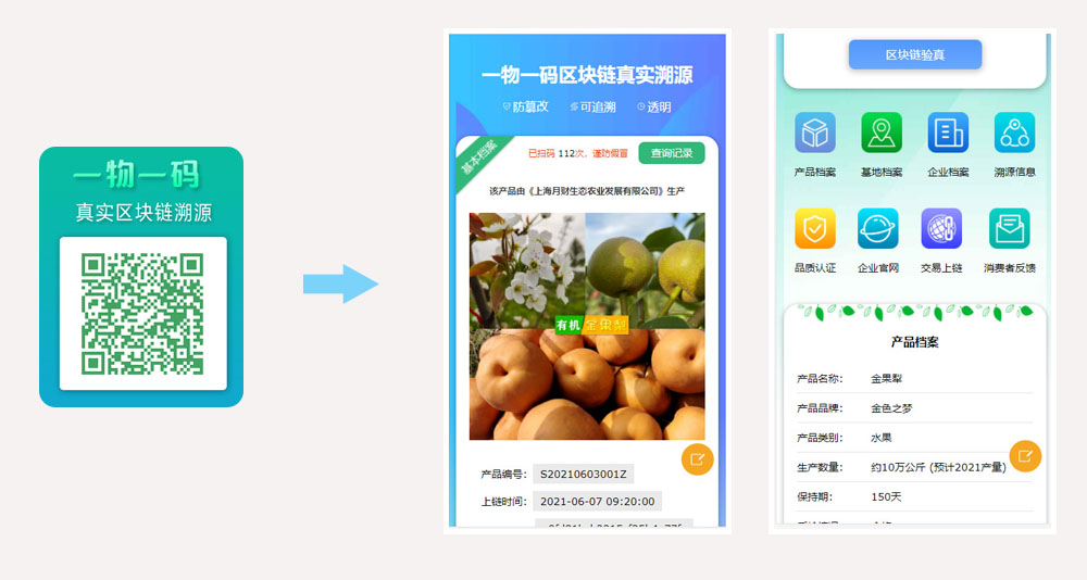 溯源二维码演示.jpg