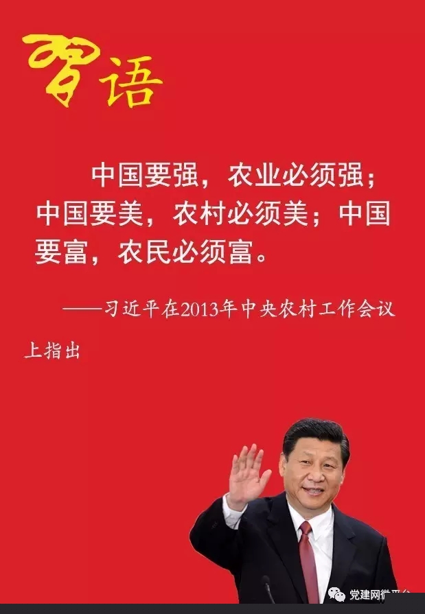 习近平谈“三农”问题