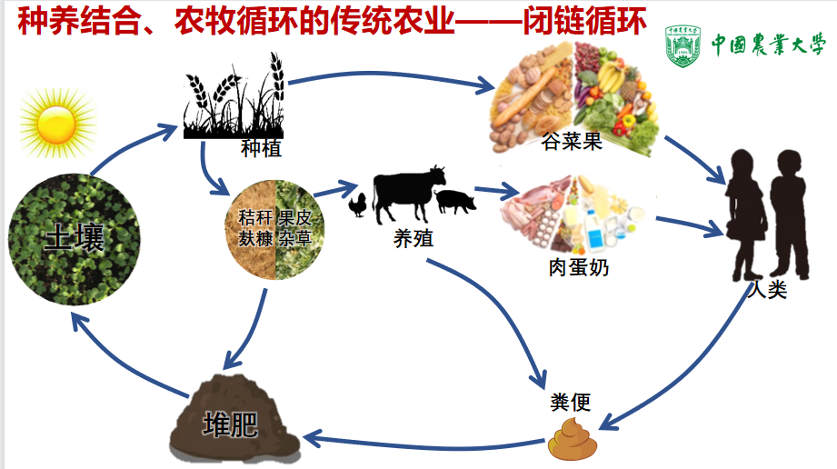 杨梅生产实用新技术/效益农业丛书_有机农业生产的现状与发展_支持农业规模化生产和集约化经营存在的问题和意见建议