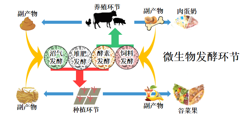 支持农业规模化生产和集约化经营存在的问题和意见建议_有机农业生产的现状与发展_杨梅生产实用新技术/效益农业丛书