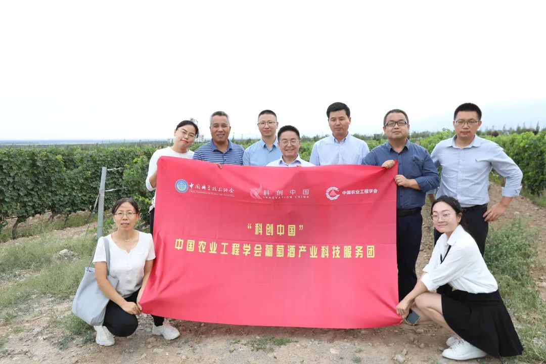 文化创意产业与相关产业融合发展_ip产业未来发展趋势_有机产业发展现状与趋势