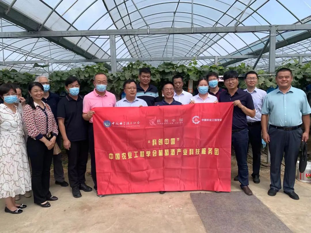 有机产业发展现状与趋势_ip产业未来发展趋势_文化创意产业与相关产业融合发展