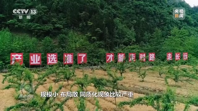 农业担保公司前景如何_生态循环农业模式前景_有机农业发展前景