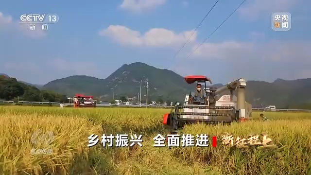 生态循环农业模式前景_有机农业发展前景_农业担保公司前景如何