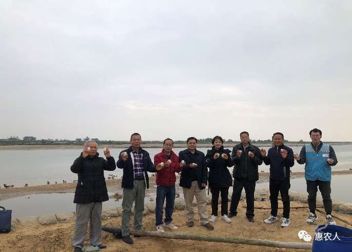 农业种子行业分析报告_农业行业观察_有机农业行业