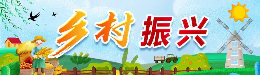 农业规划师前景_有机农业发展前景_农业电子商务前景