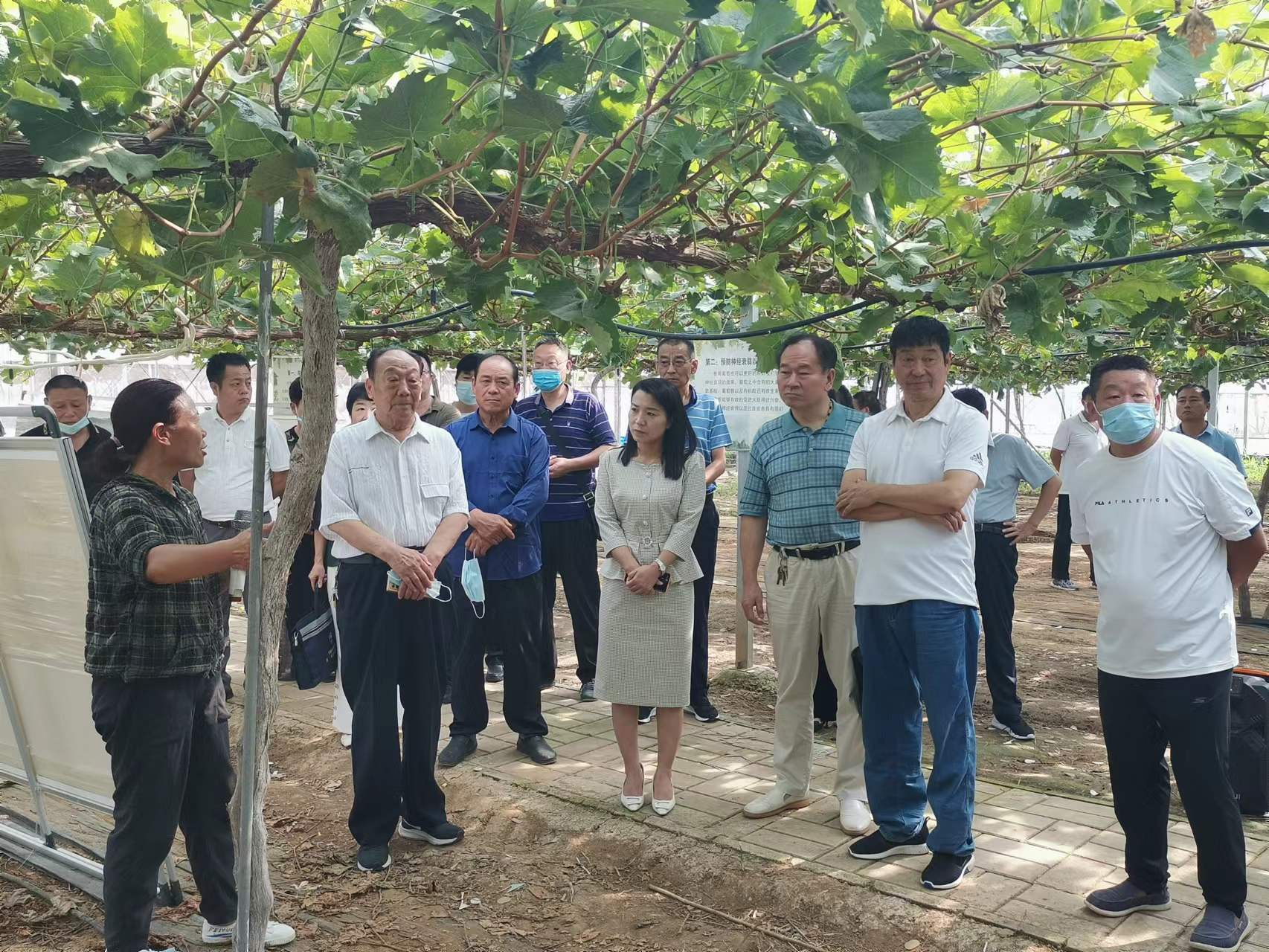 农业行业标准网_农业行业 新闻_有机农业行业