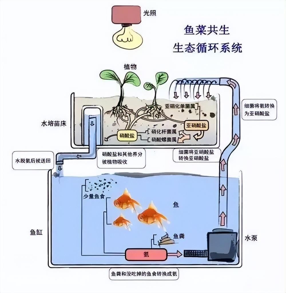 信阳市人民政府关于对种植食用菌的政策_我国有机种植的政策_国机重工吴培国