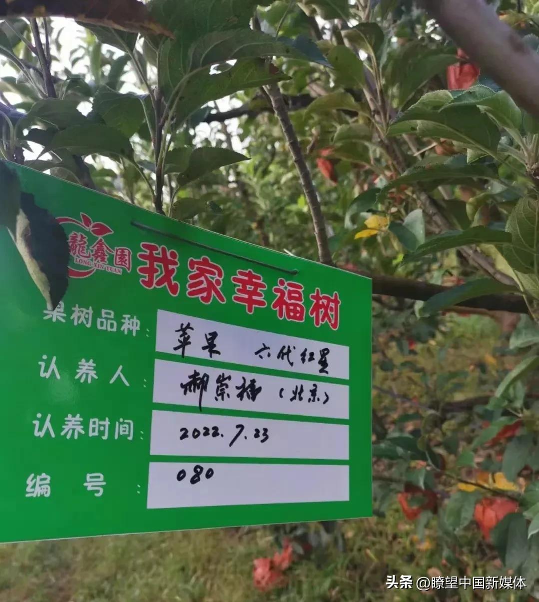北京有机农业产业联盟_农业互联网产业互联网的最后一片蓝海_农业高新技术产业园区