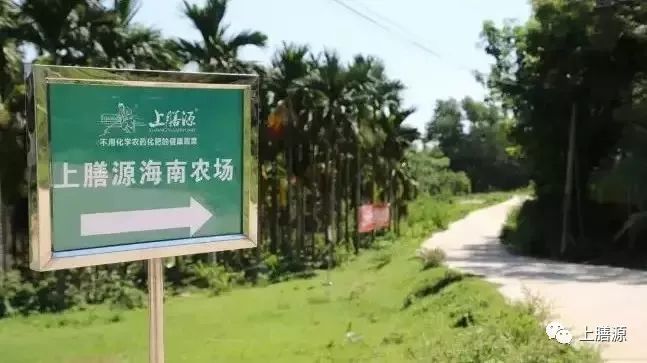 移动互联网产业趋势_有机产业发展现状与趋势_皖江城市带产业集群现状及发展对策