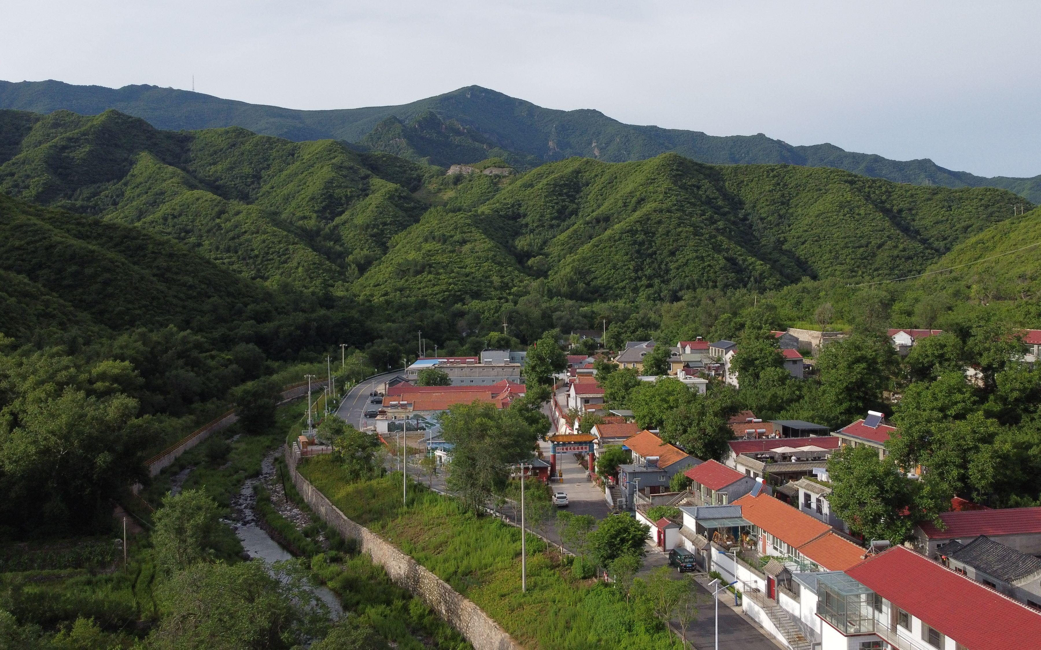 北京有机农业产业联盟_农业有那三产业_杨凌农业高新技术产业示范区