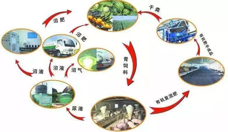 农业机楷展会_运城市农业机电工程学校_什么是有机农业