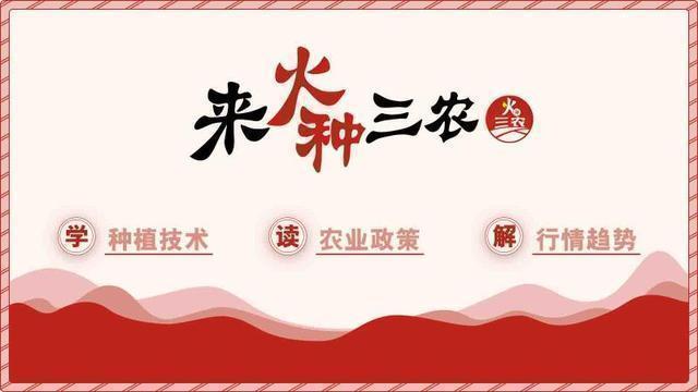 农业机楷展会_什么是有机农业_运城市农业机电工程学校