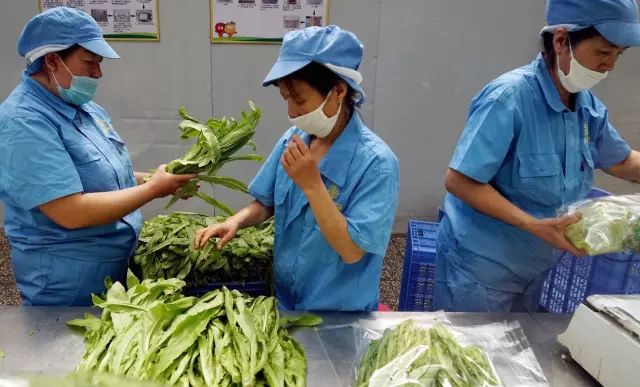 有机硅锌粉与无机富锌底漆的区别_有机物无机物的区别_有机蔬菜与无机蔬菜的区别