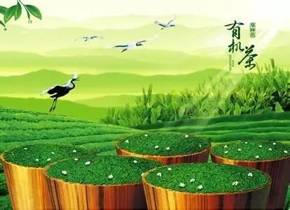 有机农业发展前景_农业观光旅游项目前景_农业物联网 前景