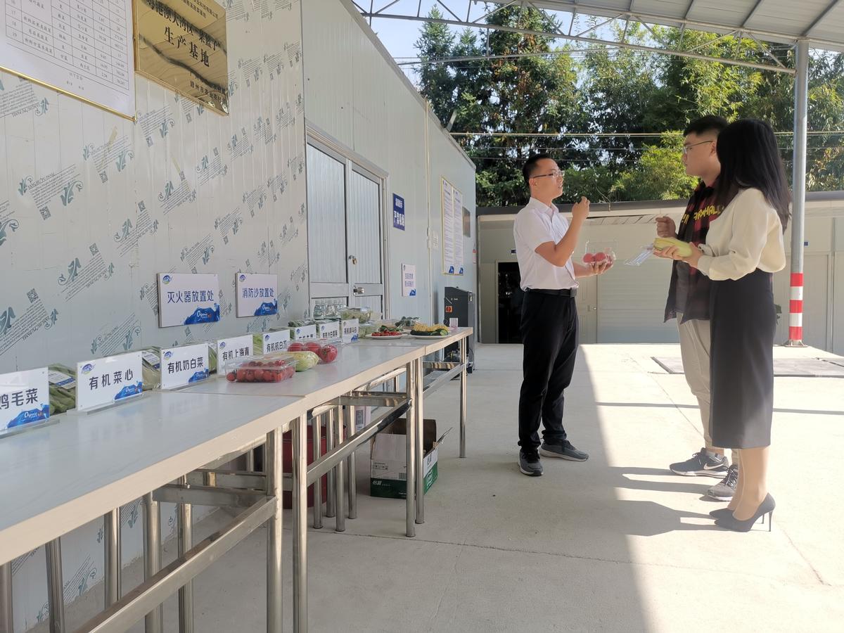 我国有机农业发展现状_农业节水灌溉现状及其发展趋势-中国农村水利水电_西藏地区发展什么农业