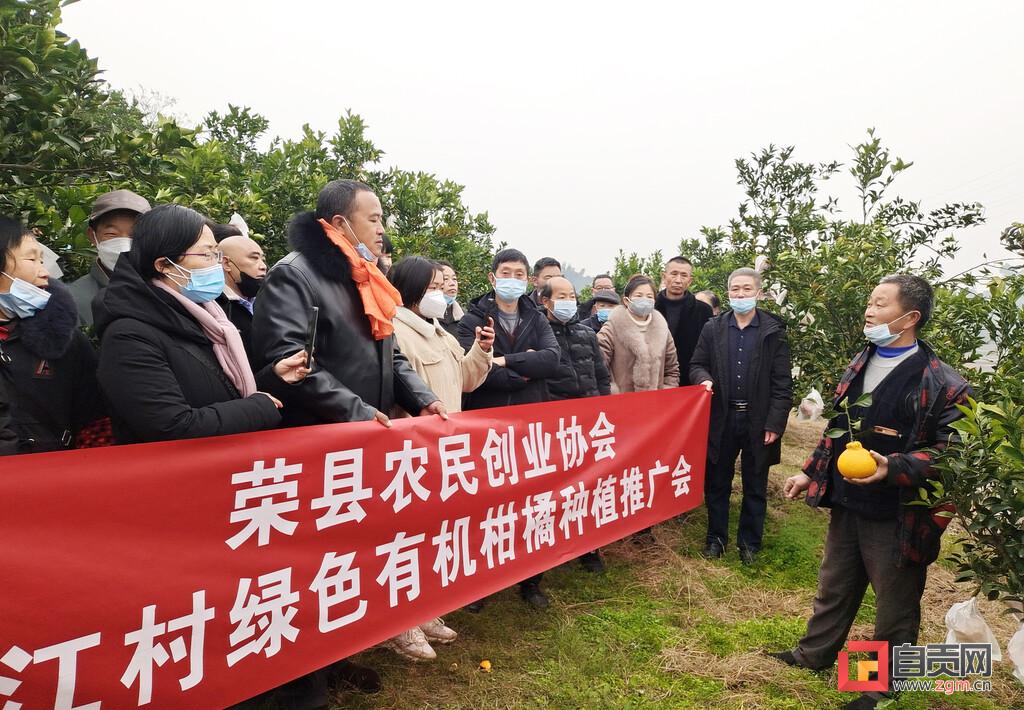 我国有机农业发展现状_为什么传统的农业生产方式要向现代化的生产方式发展_发展智慧农业 构建宏伟蓝图
