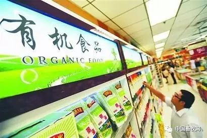 发展绿色原生态食品产业的必要性 专家观点_有机食品和绿色食品的区别_绿色养生食品