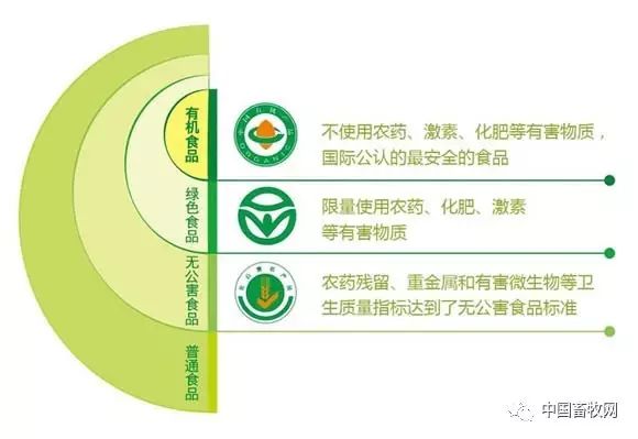 绿色养生食品_有机食品和绿色食品的区别_发展绿色原生态食品产业的必要性 专家观点