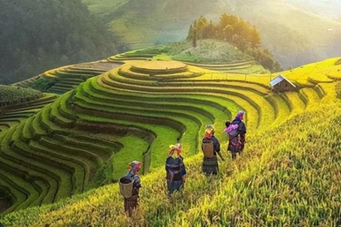 自助售药机市场前景_手机压屏有市场前景吗_有机农产品的市场前景
