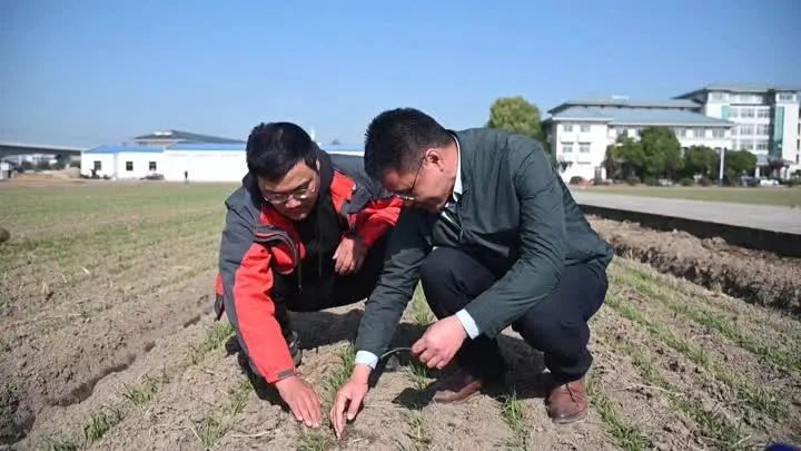 辽宁上市农业公司融资_有机农业上市公司_上市集团旗下公司再上市