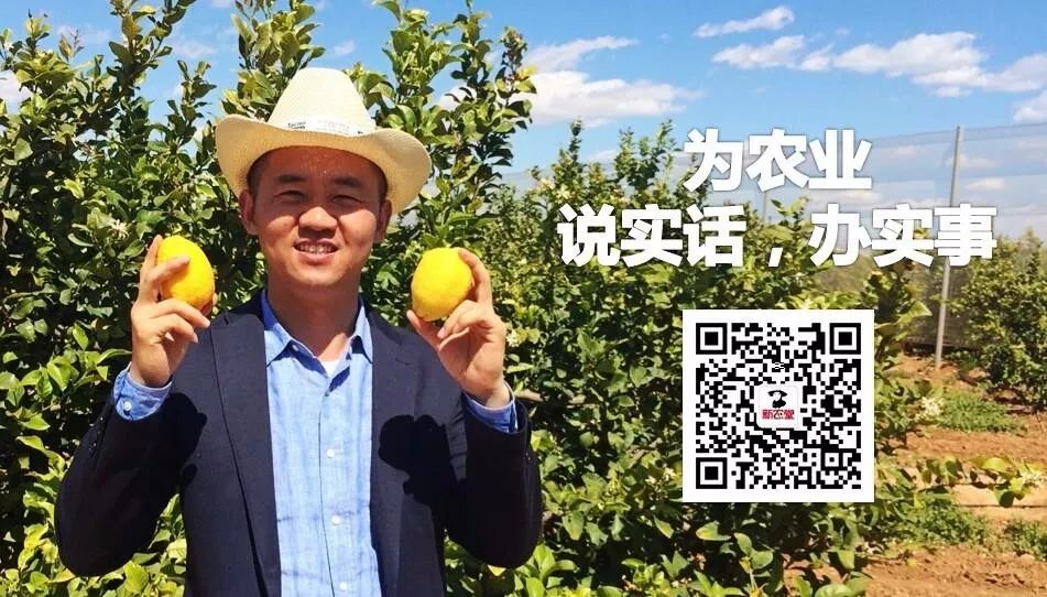 农业互联网概念_有机农业概念_农业国际竞争力的概念