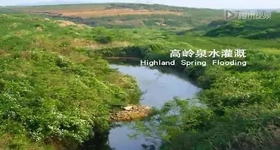 农业互联网概念_有机农业概念_农业国际竞争力的概念