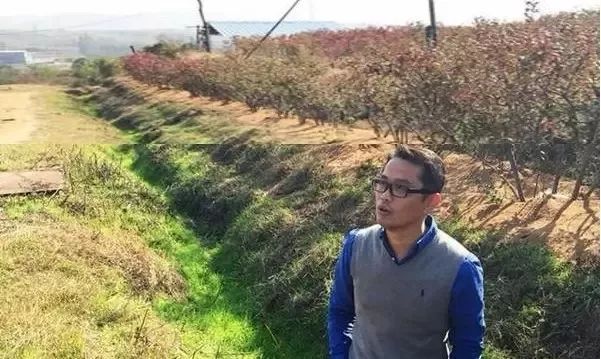 农业国际竞争力的概念_有机农业概念_农业互联网概念