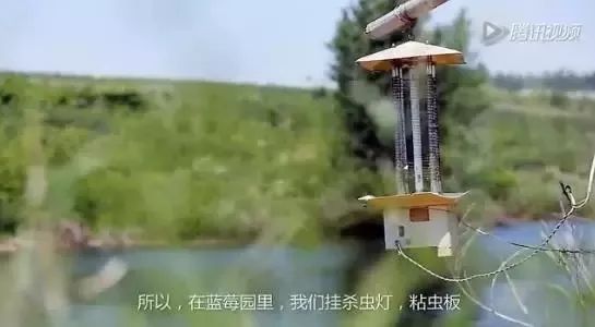 农业国际竞争力的概念_有机农业概念_农业互联网概念