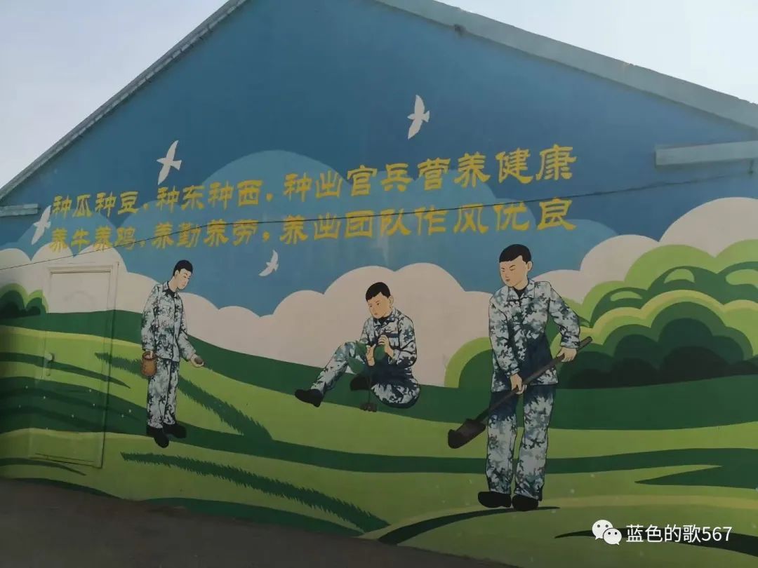 关于金融支持农业规模化生产和集约化经营的指导意见_有机农业生产的现状与发展_生产农业机械的上市公司