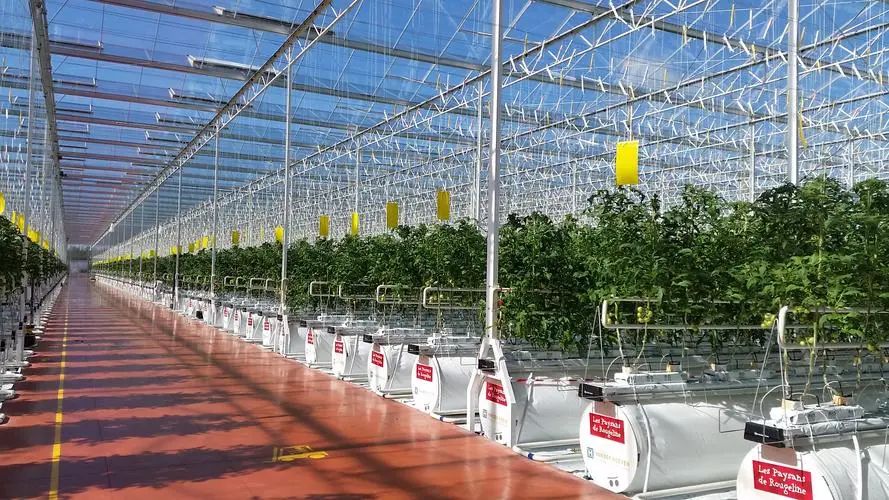 关于金融支持农业规模化生产和集约化经营的指导意见_有机农业生产的现状与发展_生产农业机械的上市公司