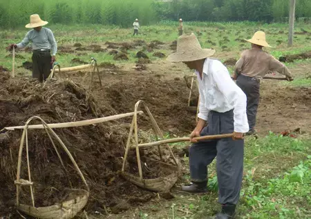 到底什么是有机肥_小型智能配肥机_比富得智能配肥机