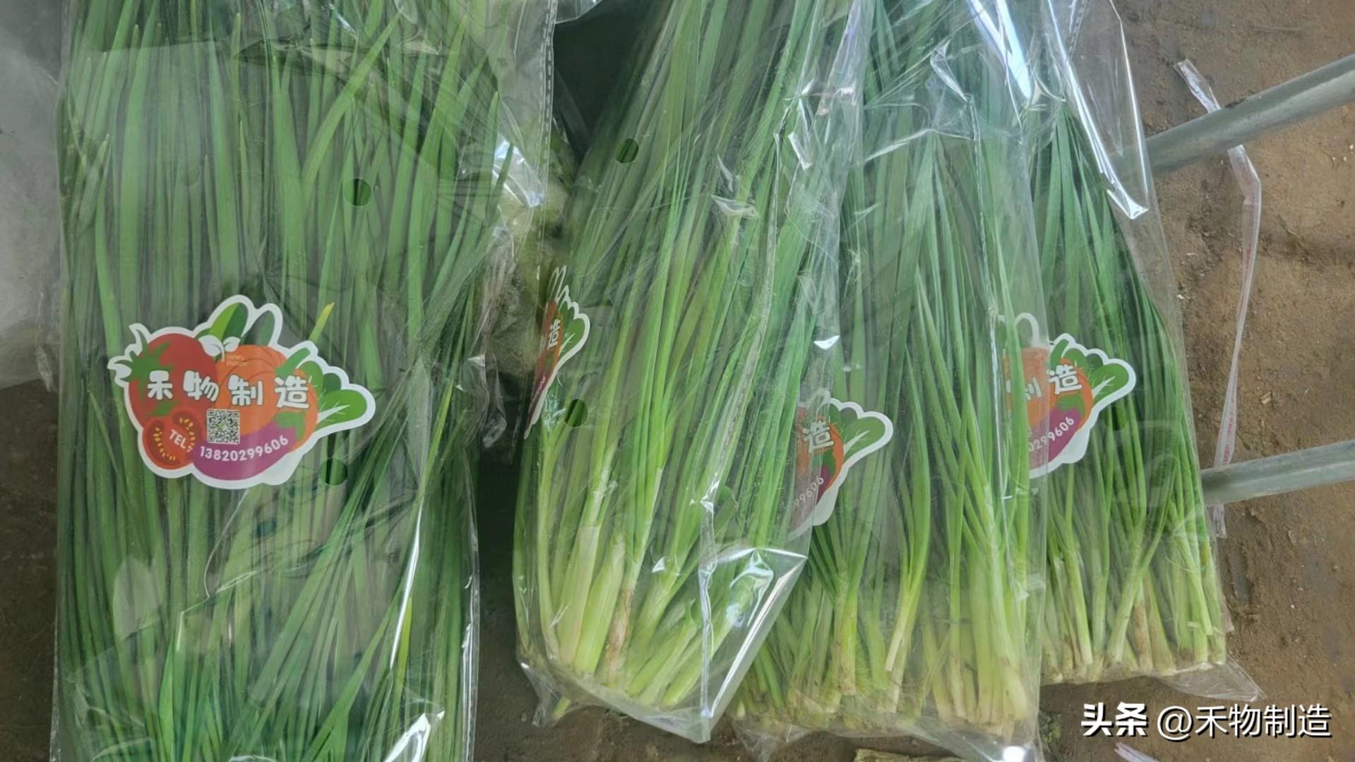 有机农业行业_农业行业现状分析_北京农业行业