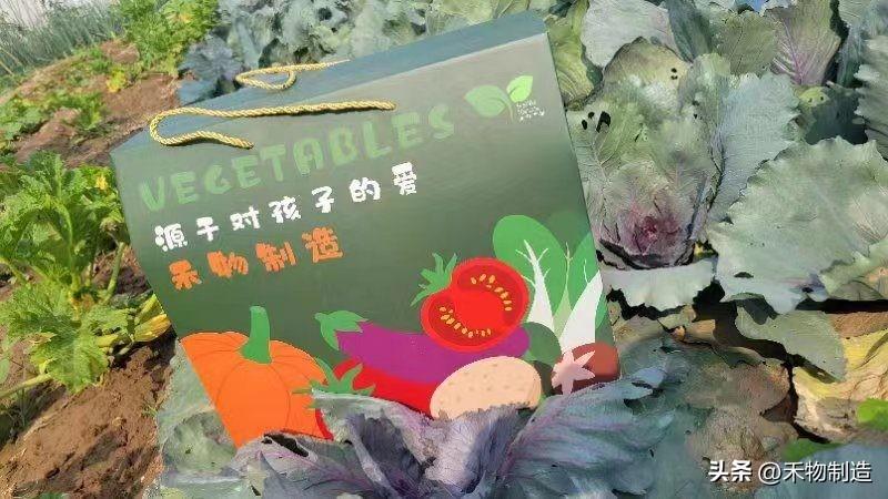 有机农业行业_北京农业行业_农业行业现状分析