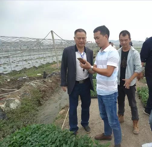 油枯发酵肥怎么用_发酵鱼蛋白肥液工艺流程_有机肥发酵技术