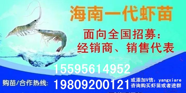 到底什么是有机肥_机肥造粒机_比富得智能配肥机价格