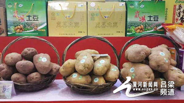 自助售药机市场前景_有市场前景的新兴行业_有机农产品的市场前景