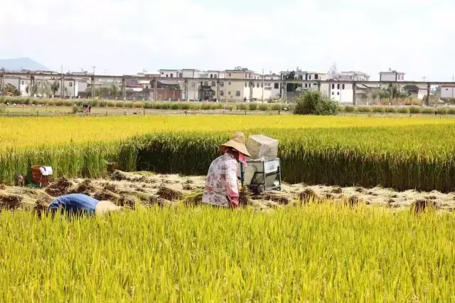 成县发展弊端_有机农业发展的弊端_发展代理商的弊端