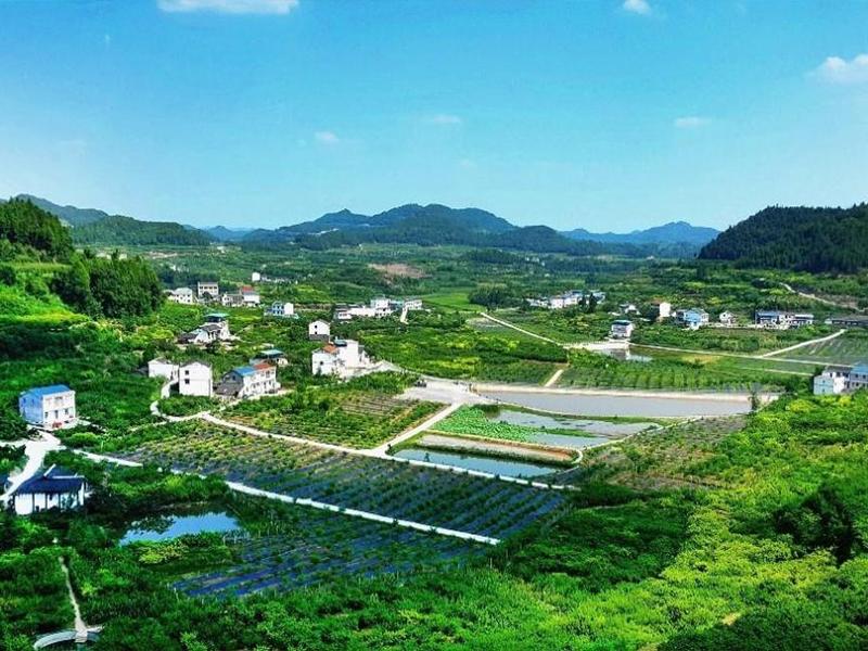 现代化农业概念_有机农业概念_新农村新农业概念龙头股票