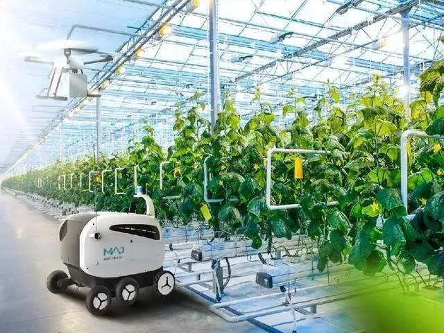 现代化农业概念_农业国际竞争力的概念_有机农业概念