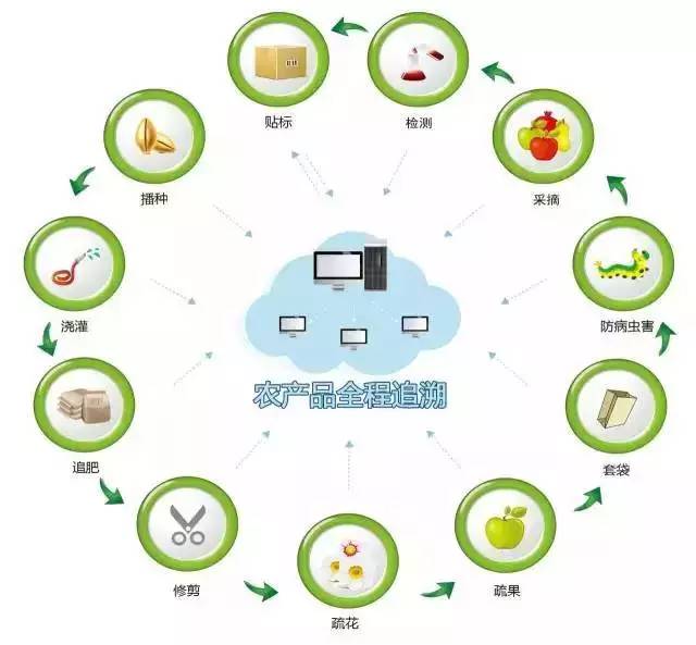 市场机会和市场机遇_有机农产品市场占有率_南农的农经专业保研率