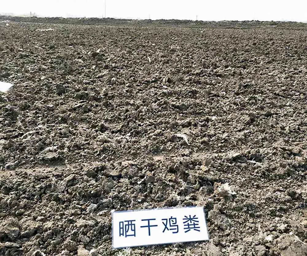 液体肥发酵_有机肥发酵技术_厨余发酵成液体肥