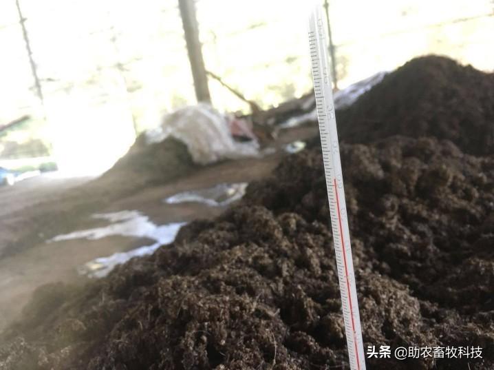 有机肥发酵技术_发酵鱼蛋白肥液技术_大豆发酵肥