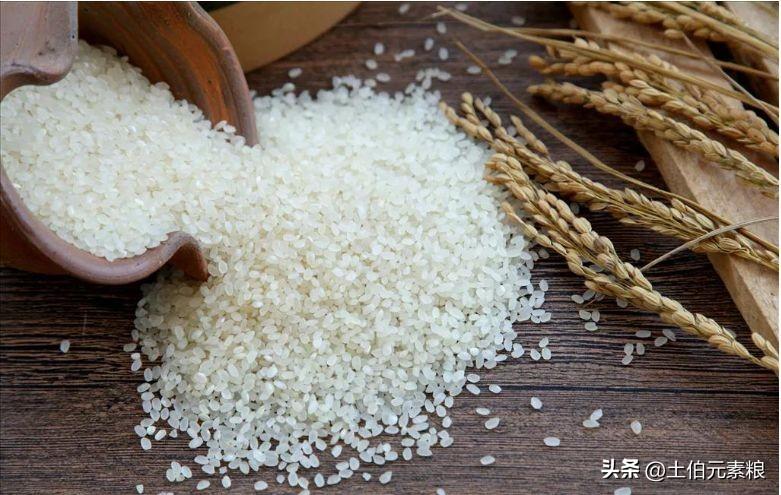 农业行业发展前景_农业行业分析报告_有机农业行业