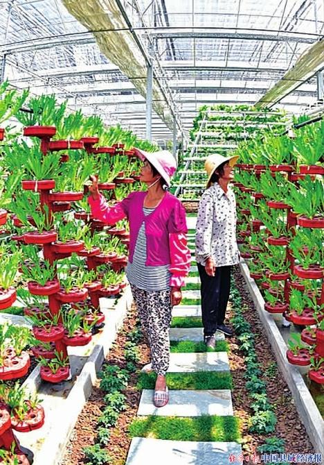 自给自足一人农业渡边_一人一本怎么刷机_中国有机农业第一人