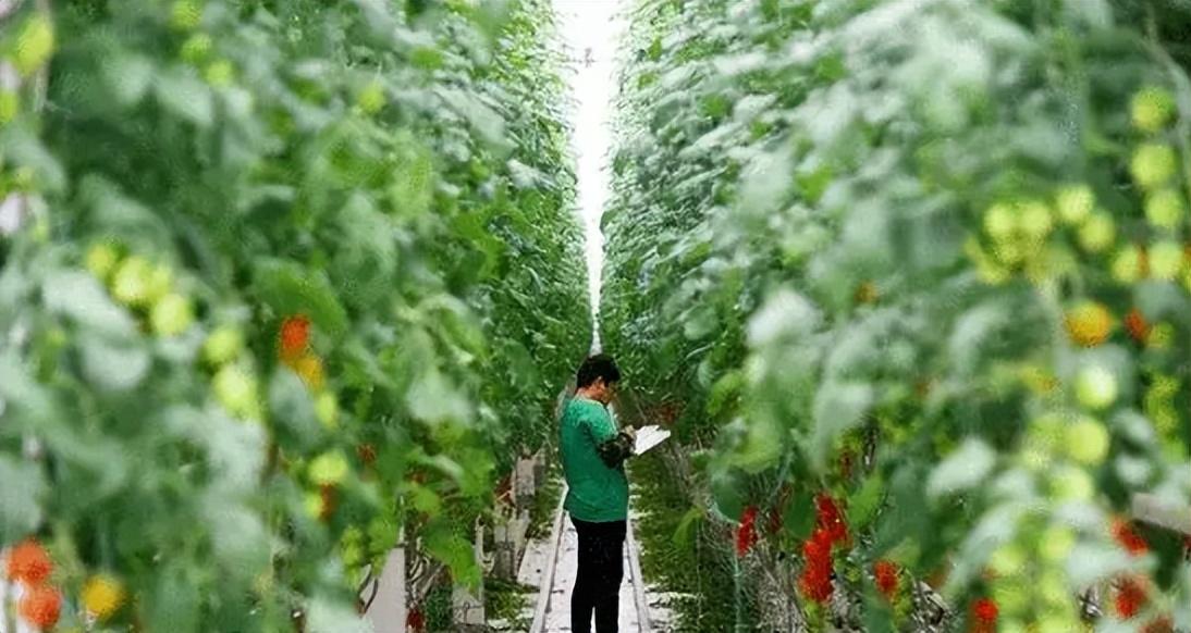楼宇智能化未来3年前景_有机农业未来5年前景_未来8年最有前景的职业