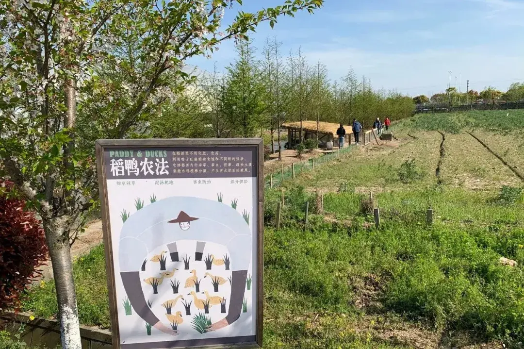 全民农场烤饼机_有机农场_卡通农场制帽机多少钱