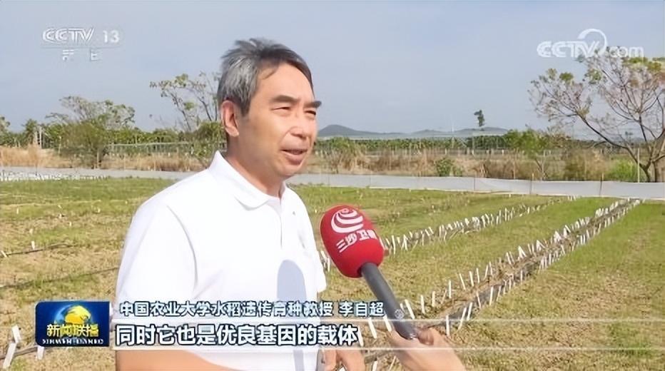 未来有前景行业_未来10年商铺的前景_有机农业未来5年前景