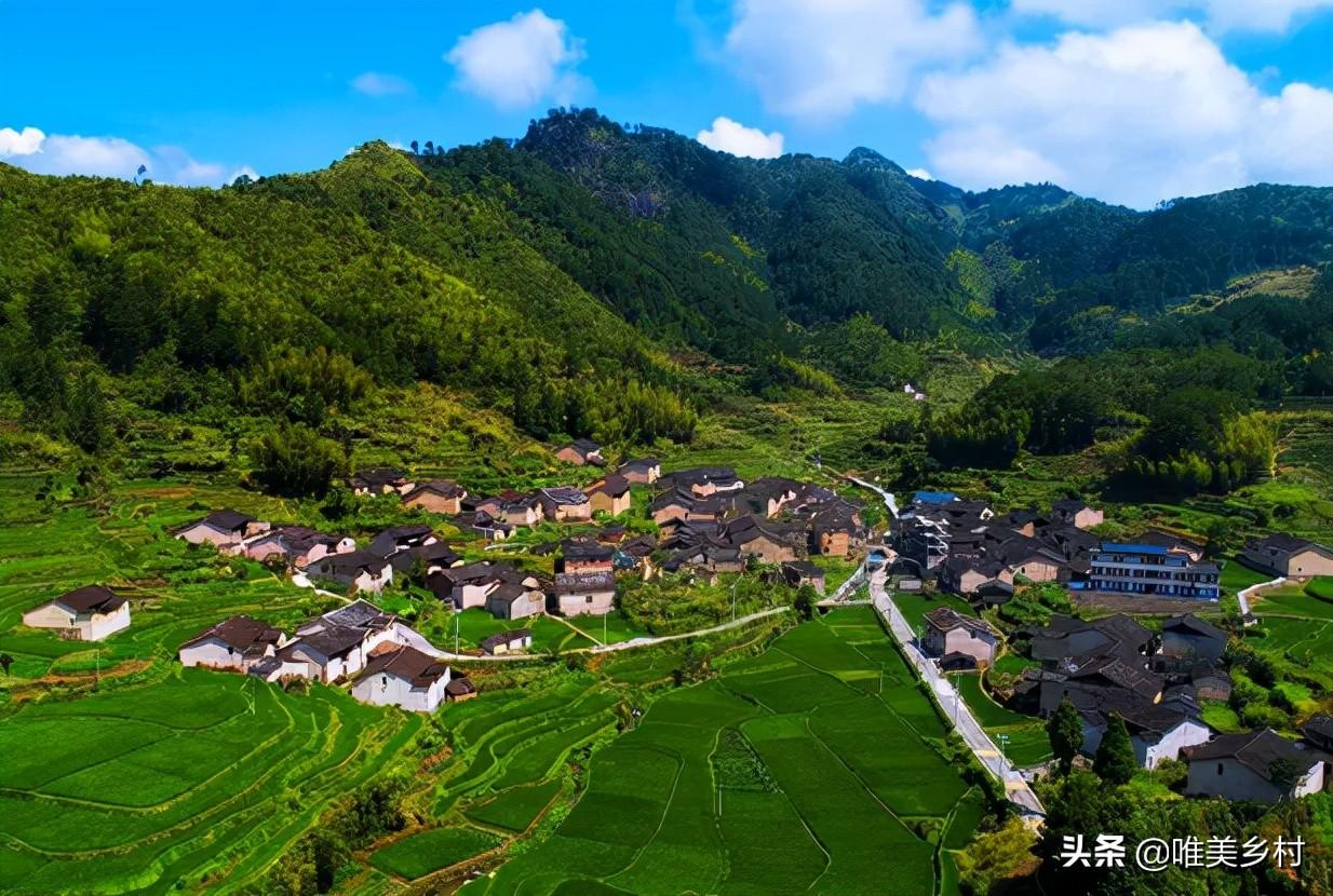 头两侧翼点痛怎么办_睾丸毛囊痛有干裂痛_有机农业的痛点